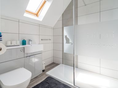 A bathroom with a toilet sink cabinet shower with frosted glass and cat design skylight window and tiled walls at Lilipad Cottage The Bay near Filey
