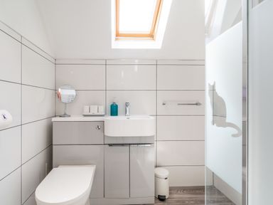 A bathroom with a toilet, sink with cabinet, mirror, soap dispenser, skylight, and frosted glass shower with cat design at Lilipad Cottage The Bay near Filey