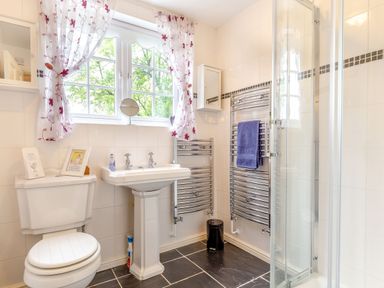 A bathroom with a toilet sink shower and heated towel rails at Westside Cottage in Cardinham near Bodmin