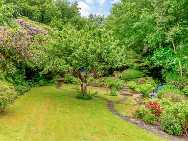 A garden with a tree in the center surrounded by shrubs flowers and a small pathway at Westside Cottage in Cardinham near Bodmin