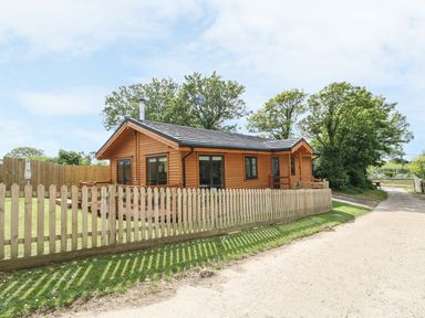 A wooden cabin with a fenced yard on a dirt road surrounded by trees at Chale Farm Lodge in Chale