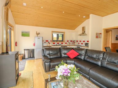 An open plan room with a black leather sofa and red cushion at Chale Farm Lodge in Chale