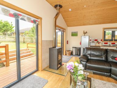 A living room with a black leather sofa a wood stove glass door and kitchen appliances at Chale Farm Lodge in Chale