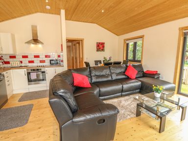 An open living room and kitchen with a black leather sofa with red cushions and a glass coffee table at Chale Farm Lodge in Chale