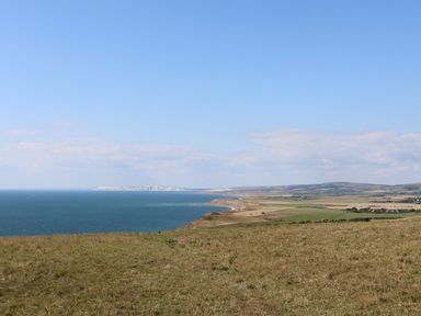 A coastal landscape with grassy fields and cliffs overlooking the sea at Chale Farm Lodge in Chale