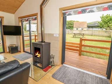 A room with a black wood stove burning a fire a black leather chair a TV mounted on the wall and glass doors leading to a fenced garden with a picnic table at Chale Farm Lodge in Chale