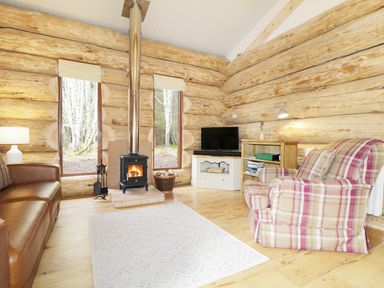 A living room with a wood stove between two tall windows a leather sofa a plaid armchair a TV on a cabinet and a bookshelf at Heron Lodge in North Kessock