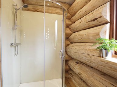 A shower with glass doors and a shower head next to a wooden log wall with a small plant on the windowsill at Heron Lodge in North Kessock