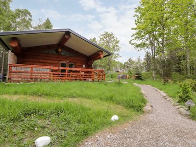 A small wooden cabin with a covered porch in a grassy area surrounded by trees and a gravel path leading to the cabin at Heron Lodge in North Kessock