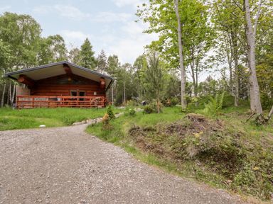 A gravel driveway leading to a wooden cabin surrounded by trees and grass at Heron Lodge in North Kessock