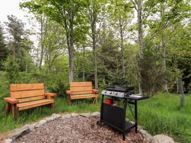 An outdoor grilling area with two wooden benches and a gas grill surrounded by trees at Heron Lodge in North Kessock