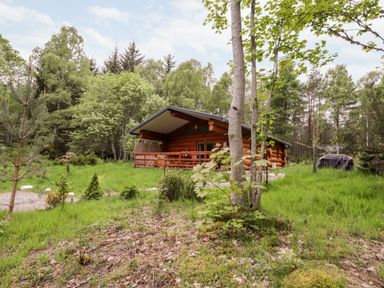A log cabin surrounded by trees and grass at Heron Lodge in North Kessock