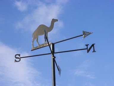 A metal weather vane with a camel figure and directional letters on a pole against a blue sky