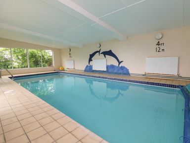 An indoor swimming pool with tiled floor and a wall painting of two dolphins at The Cottage in Chilsworthy near Holsworthy