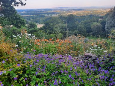 A garden with purple orange and white flowers and trees overlooking fields and hills at Haslington House in Malvern