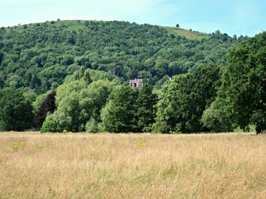 A grassy field with trees and a hill with dense forest and a house partially visible at Haslington House in Malvern