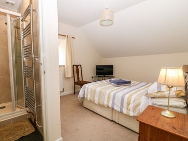 A bedroom with a bed striped bedding a bedside table with lamp a wooden chair a tv and an en suite shower at Honeysuckle Cottage in Ashwater near Holsworthy
