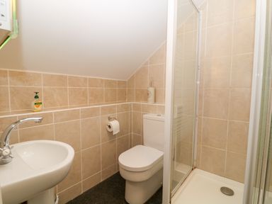 A small bathroom with a sink toilet and glass shower enclosure at Honeysuckle Cottage in Ashwater near Holsworthy