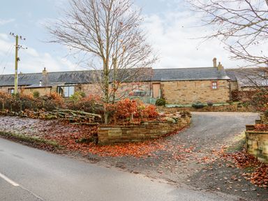 Stone cottages with a driveway and a tree with fallen leaves at Milton Mains Cottages in Milton near Brampton