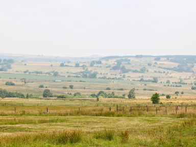 A rural landscape with fields trees and fences at The Shooting Lodge in Longnor