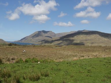 A grassy field with a sheep and hills in the background under a partly cloudy sky at Seaspray in Tully County Galway