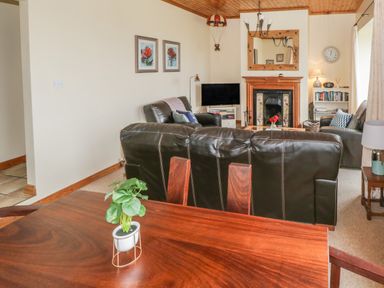 A living room with leather sofas a wooden table with a plant a fireplace and a television at Seaspray in Tully County Galway