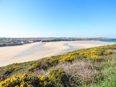 A coastal landscape with a sandy beach and yellow bushes in the foreground at Saltwater One Lusty Glaze Newquay
