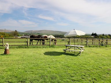 A grassy field with three horses behind a wooden fence and a picnic table with an umbrella in the foreground at View The Gallery in Okehampton