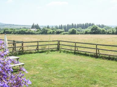 A fenced grassy yard with purple flowers and a picnic bench overlooking a field and trees at View The Gallery in Okehampton