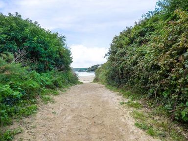 A sandy pathway between dense green bushes leading to a body of water at Kilcarreg Rock near Wadebridge