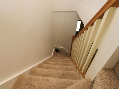 A carpeted staircase with a wooden handrail and a small plant at the bottom at Menai View near Menai Bridge