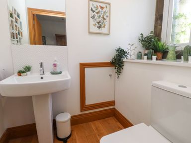 A bathroom with a pedestal sink, a toilet, plants on the windowsill, and artwork on the wall at Menai View near Menai Bridge