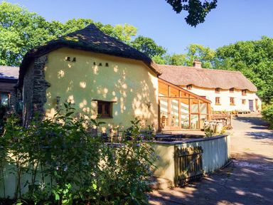 A thatched roof cottage with yellow walls and a glass extension surrounded by trees and plants at The Milking Parlour in Highampton