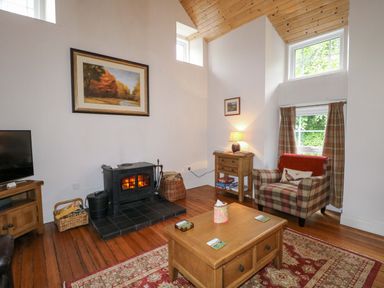 A living room with a fireplace and television at Rosslare Cottage in Broughshane