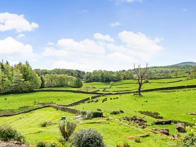 A green countryside landscape with stone walls trees and grassy fields at Beech - Woodland Cottages in Bowness-on-Windermere