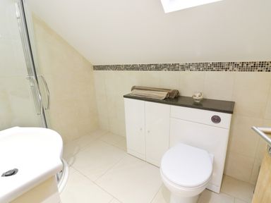 A bathroom with a toilet, sink, shower enclosure, and storage cabinet at Arnant in Barmouth