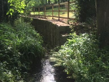 A small stream with stone wall and wooden fence surrounded by dense green plants and trees at Causeway Cottage in Pencombe