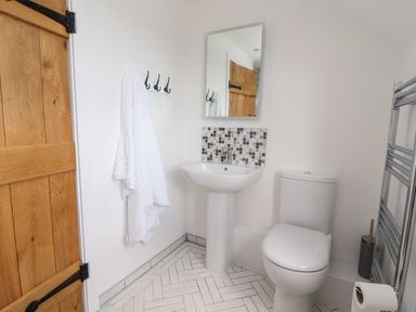 A bathroom with a wooden door a white towel on wall hooks a pedestal sink mirror toilet and a towel radiator at Delfryn Llannefydd near Denbigh