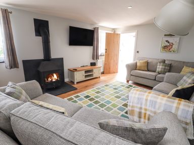 A living room with a wood-burning stove a television two gray sofas and a patterned rug at Delfryn Llannefydd near Denbigh