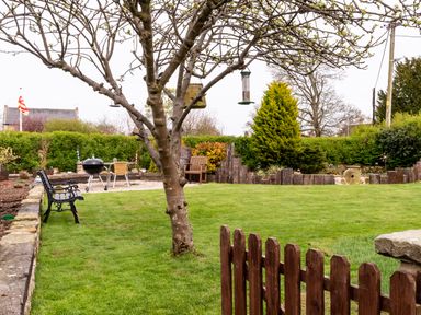 A garden with a tree a bench a barbecue grill a wooden chair and a hedge at The Old School Room in Longhorsley near Morpeth and Alnwick