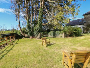 A garden with wooden chairs a large tree with a swing and a stone house at Ballintlea in Ballintlea near Dungarvan County Waterford