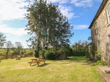 A grassy yard with wooden picnic tables and large trees beside a stone building at Ballintlea near Dungarvan County Waterford