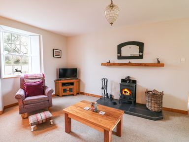 A living room with an armchair and footstool a wooden coffee table a corner TV and a fireplace with fire at Ballintlea near Dungarvan County Waterford