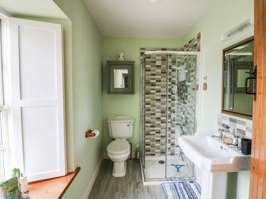 A bathroom with a toilet shower cubicle sink mirror and window at Ballintlea near Dungarvan County Waterford