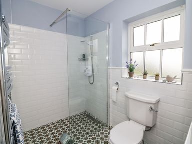 A bathroom with a walk-in shower and a toilet near a window with plants on the sill at Ballintlea near Dungarvan County Waterford