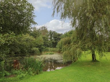 A pond surrounded by trees and grass with willow branches hanging down at The Barn at Waunlippa Narberth