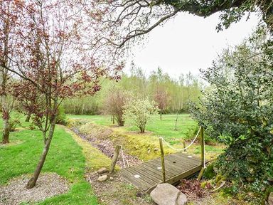 A small wooden bridge over a narrow ditch in a grassy garden with trees and shrubs at The Sanctuary in Killavullen near Mallow