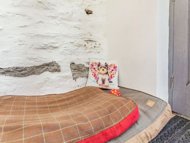 A corner with two dog beds a pillow with a dog image and a small red ball at Victoria Cottage in St Newlyn East near Newquay