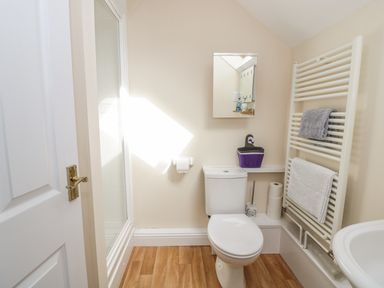 A small bathroom with a toilet a towel warmer with two towels a mirror and a shower at Oak Cottage in Bryngwenith near Newcastle Emlyn