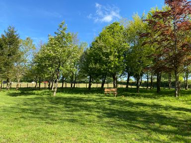 A grassy area with trees and a wooden bench under blue sky at Oak Cottage Bryngwenith near Newcastle Emlyn
